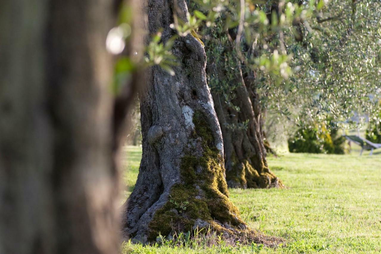 Agriturismo La Sosta Di Annibale *