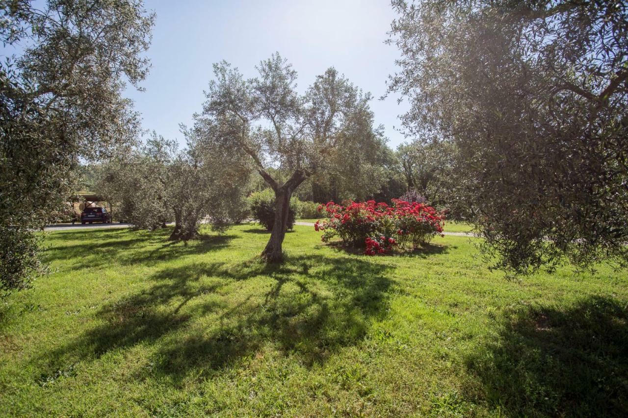 Agriturismo La Sosta Di Annibale Tuoro sul Trasimeno
